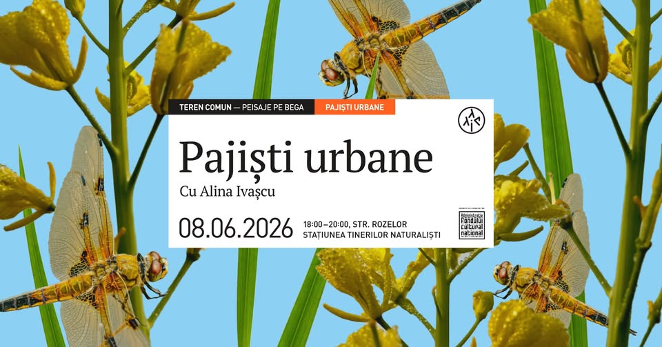 Pajiști urbane, cu Alina Ivașcu