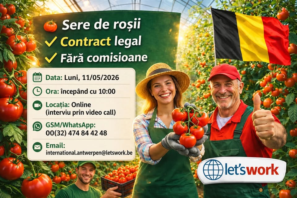 Contracte Sezoniere în Sere de Roșii