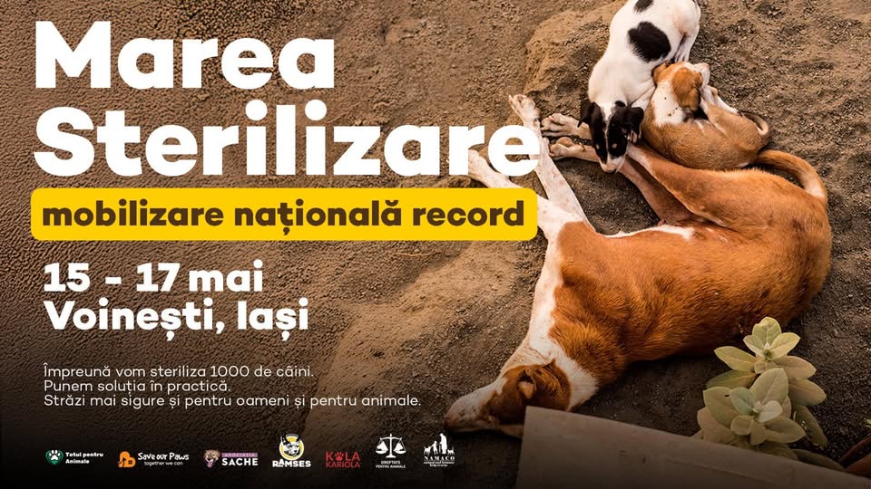 Marea Sterilizare