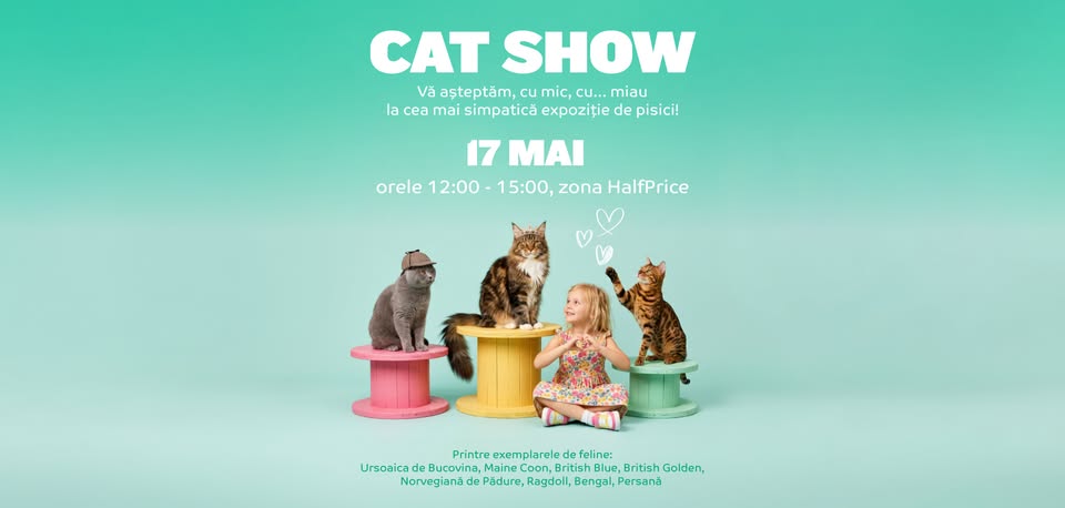Cat Show la Mall Moldova – 17 mai 2026