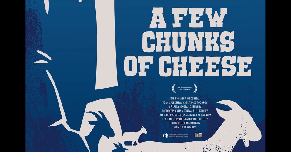 Screening of A Few Chunks of Cheese// Proiecție: Câteva bucăți de brânză