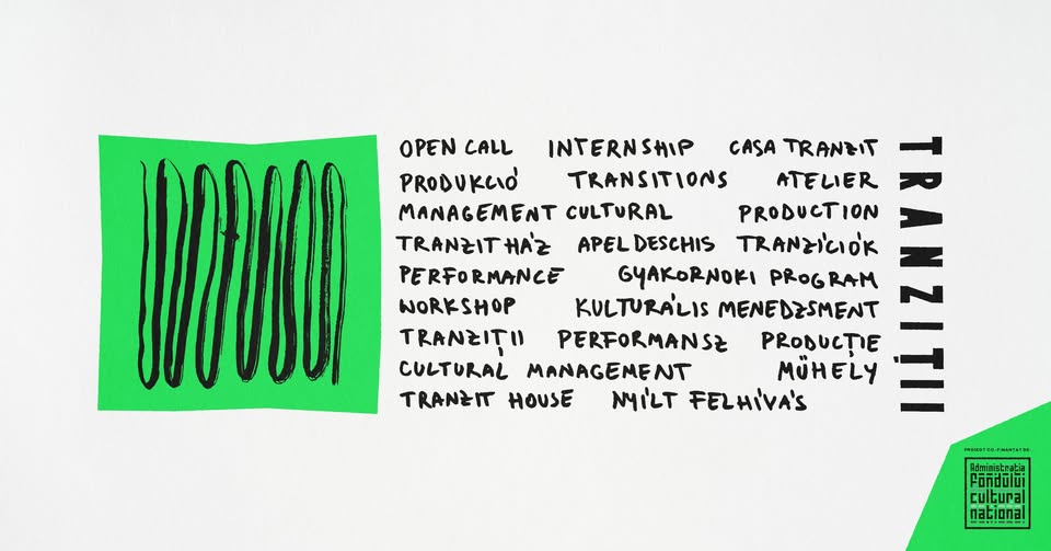 TRANZIȚII | apel internship // nyílt felhívás // call for interns
