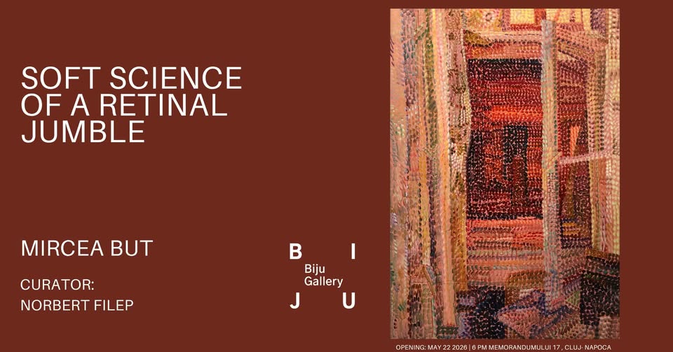 Mircea But | Soft Science of a Retinal Jumble