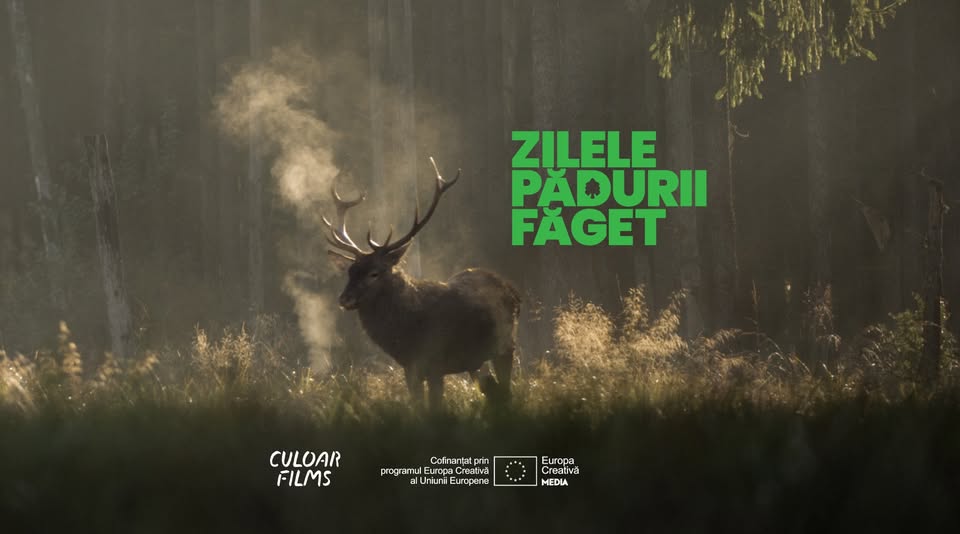 Avanpremieră specială Cântecul pădurii + Q&A | Zilele Pădurii Făget