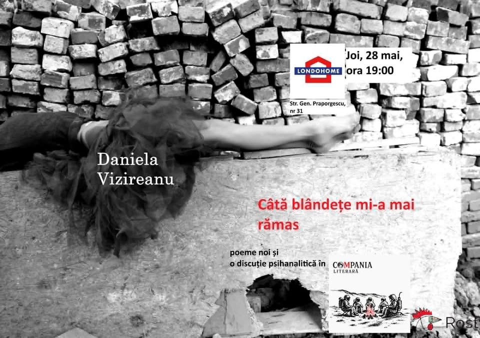 Daniela Vizireanu – Poeme și discuții