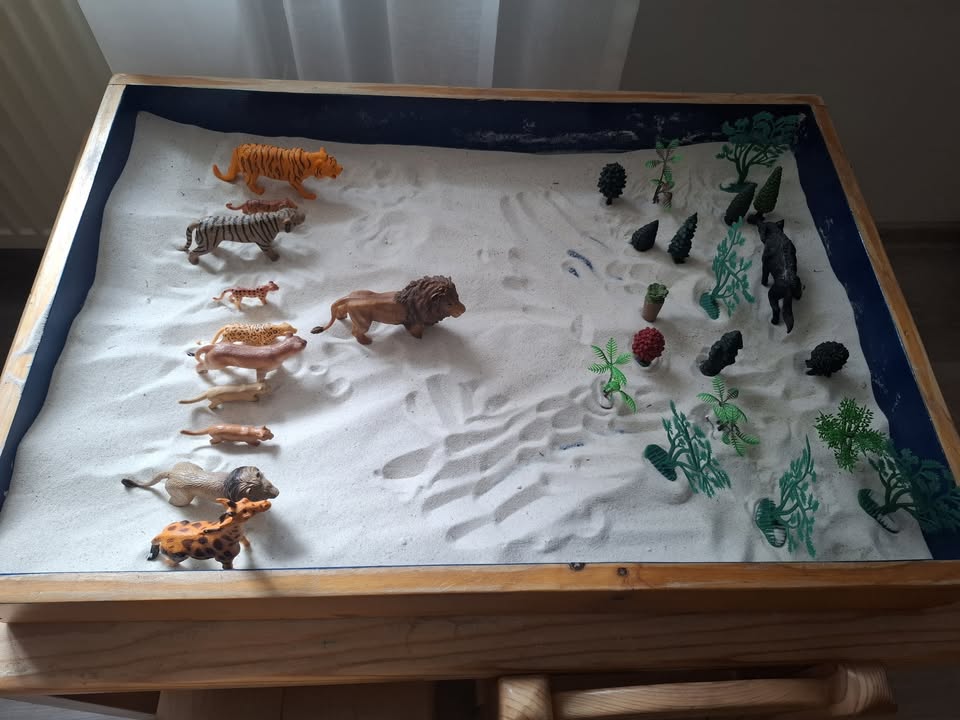 Atelier Sandtray Play in Education