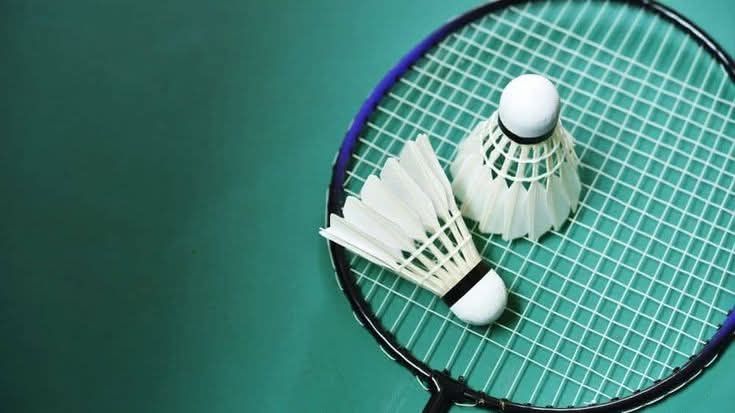 Badminton pentru toti🏸
