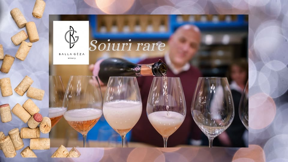 Degustare vinuri soiuri rare Balla Geza