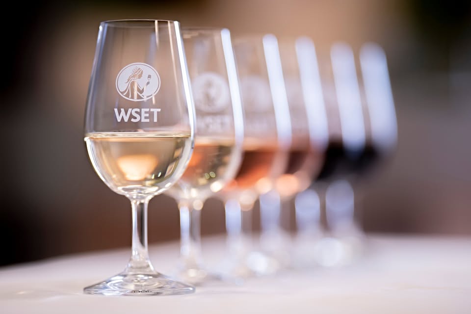 Curs WSET Nivel 1 în Vinuri
