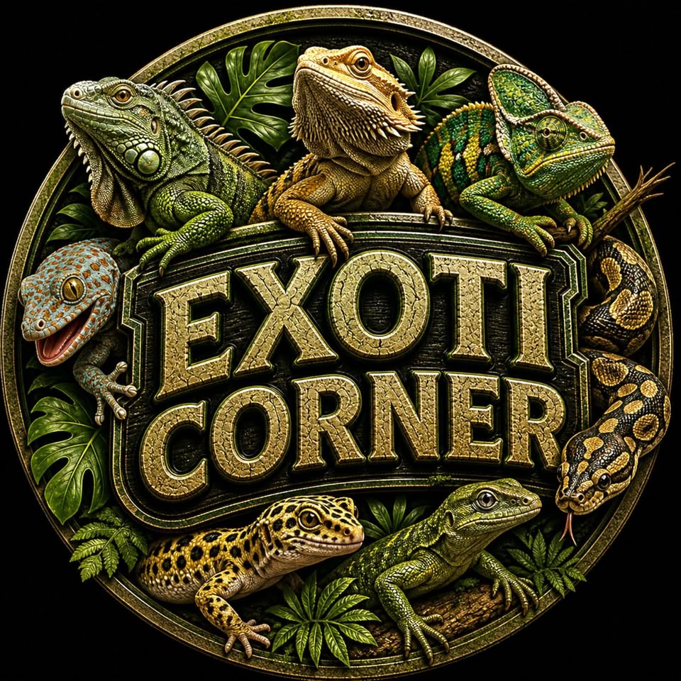 Deschiderea expoziției permanente de reptile