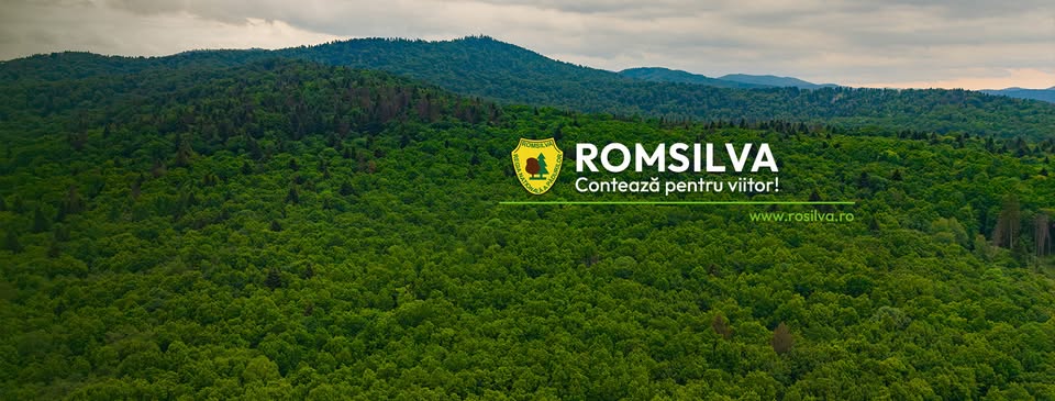 🌍 Ziua Mondială a Mediului – 5 iunie 🌿