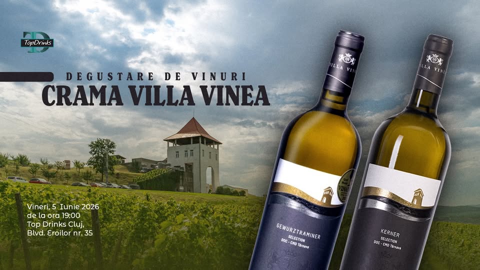 DEGUSTARE CRAMA VILLA VINEA