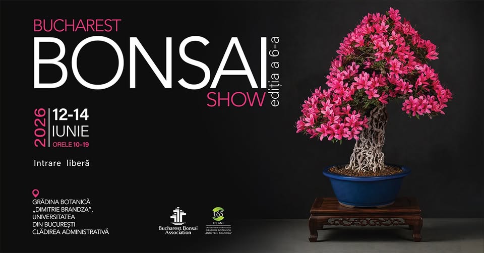 Bucharest Bonsai Show 2026