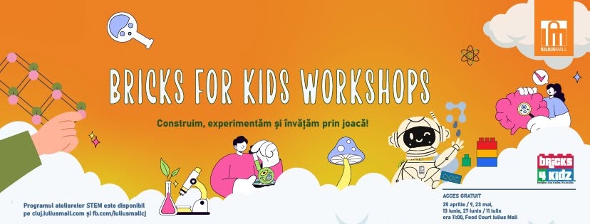 Bricks for Kidz – Sports Fanatics