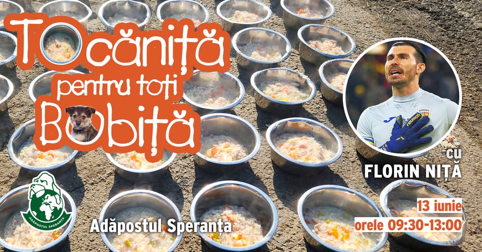 Tocăniță pentru toți Bobiță