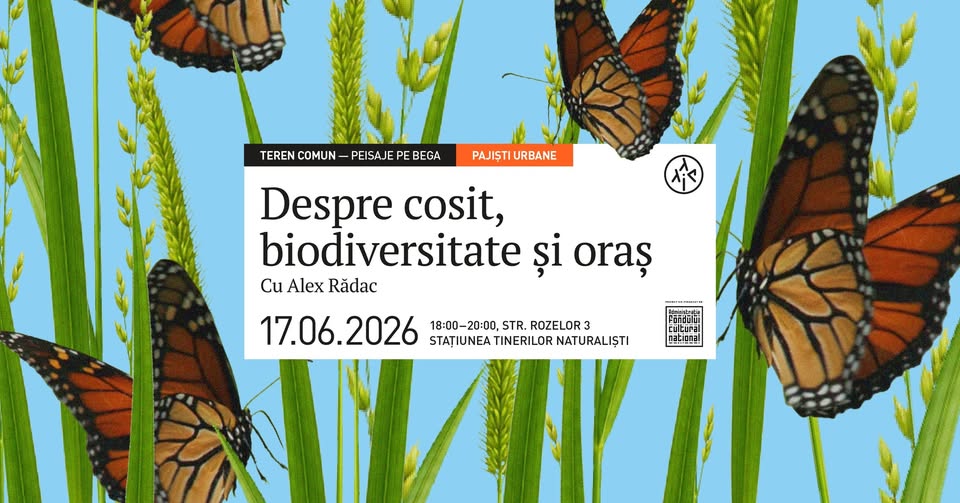 Despre cosit, biodiversitate și oraș, cu Alex Rădac