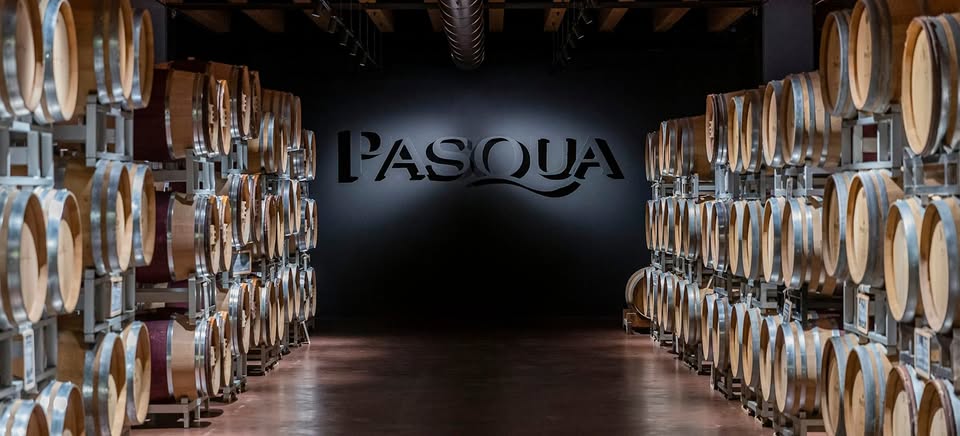 Degustare vinuri – Cantine Pasqua / Italia