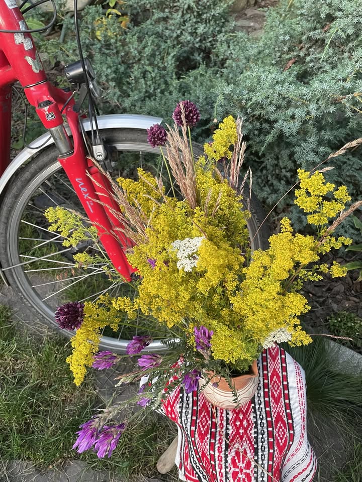 Ziua Universală a Iei pe Bicicletă #12bis*