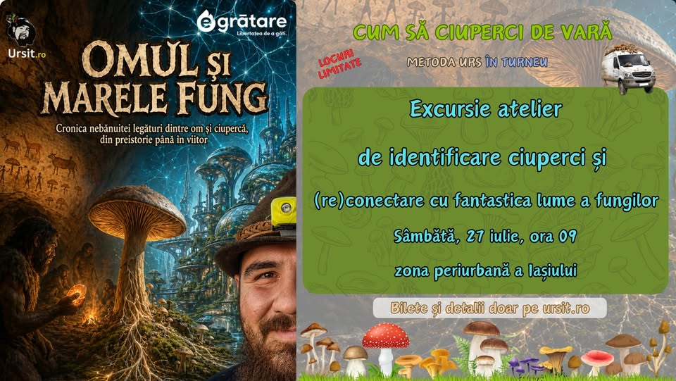 Cum Să Ciuperci de Vară – Metoda URS la Iași