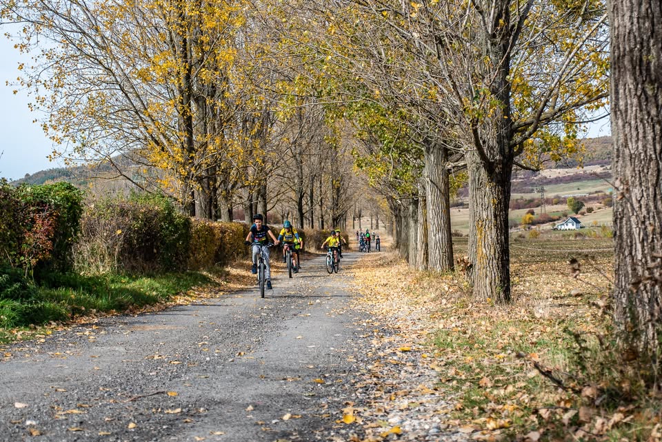 Tură pe e-bike prin pădurile din Mărginime