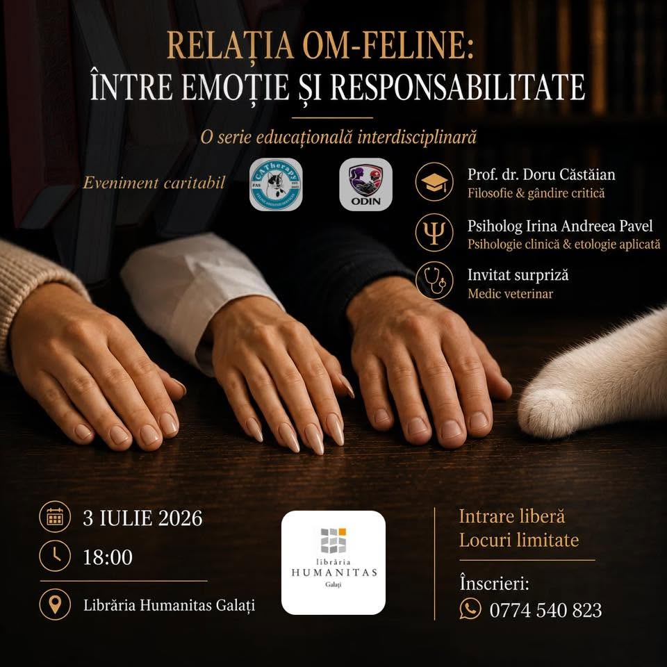 Relația om–feline: între emoție și responsabilitate