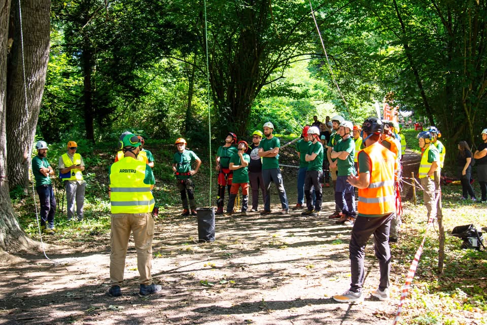 Romanian Tree Climbing Championship 2026 – Sibiu