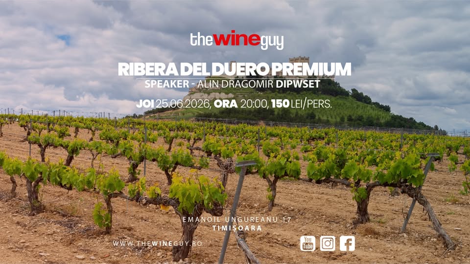 Vinuri Premium din Ribera del Duero