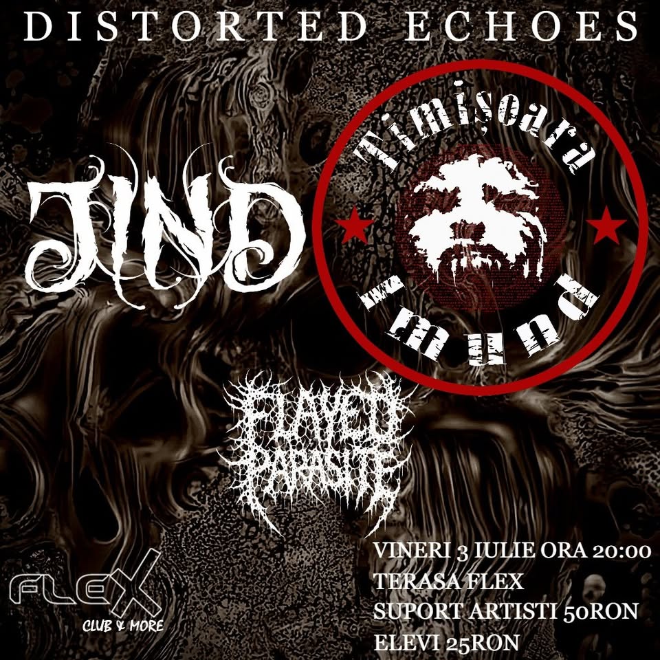 DISTORTED ECHOES