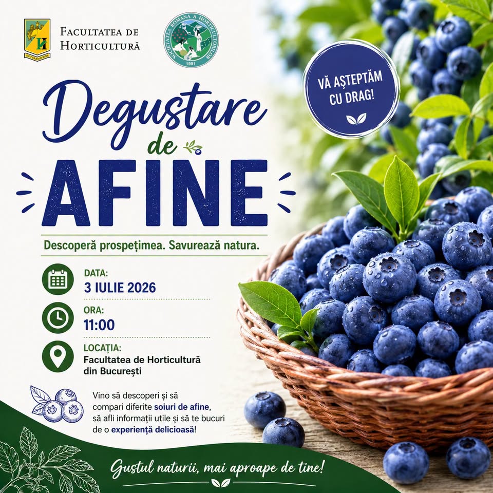 Degustare de afine🫐