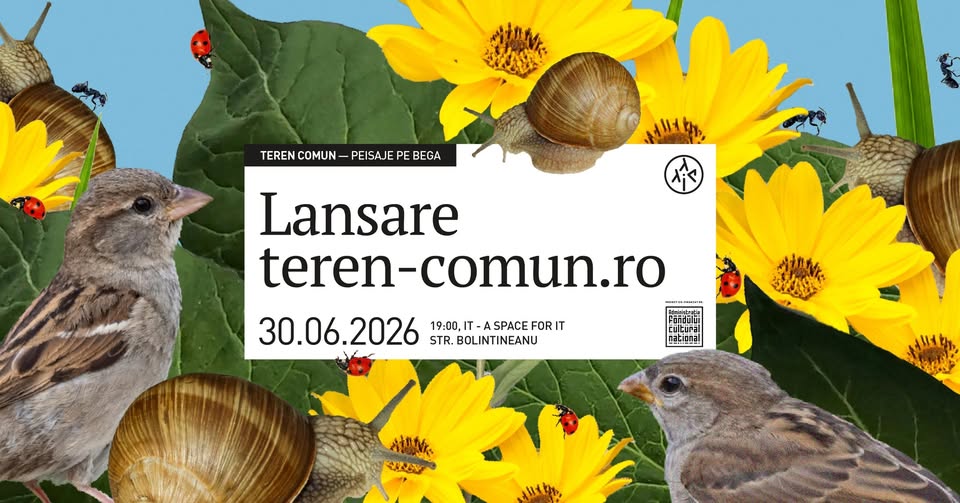 Lansare site teren-comun