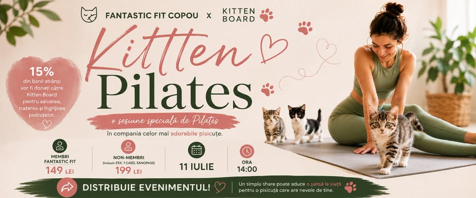 Pilates cu pisici