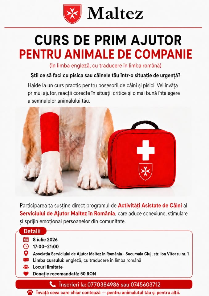 Curs de prim ajutor pentru animale de companie – Maltez