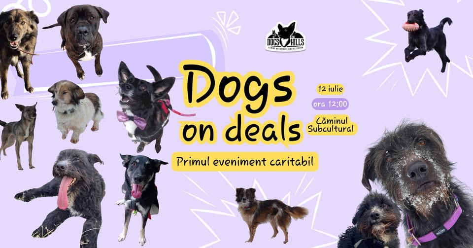 Dogs on Deals – Primul eveniment caritabil
