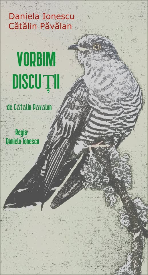 VORBIM DISCUȚII – Comedie romantică