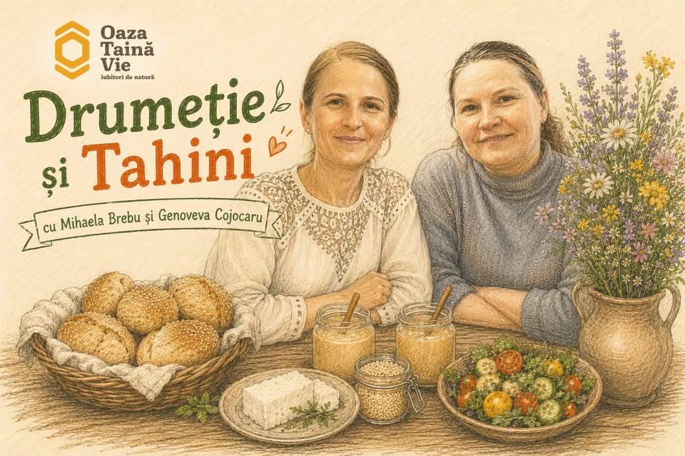 Drumetie si tahini de la Oaza Taina Vie