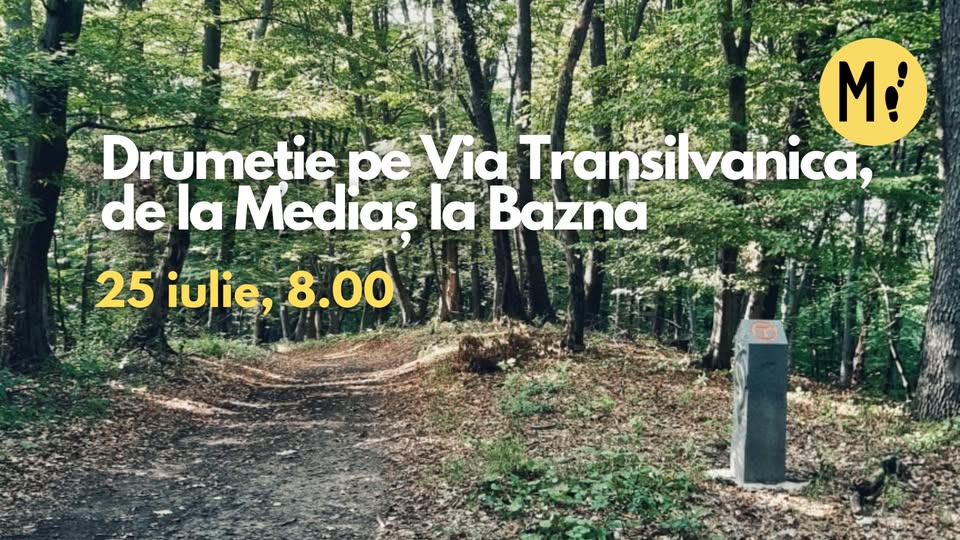 Drumeție pe Via Transilvanica, de la Mediaș la Bazna