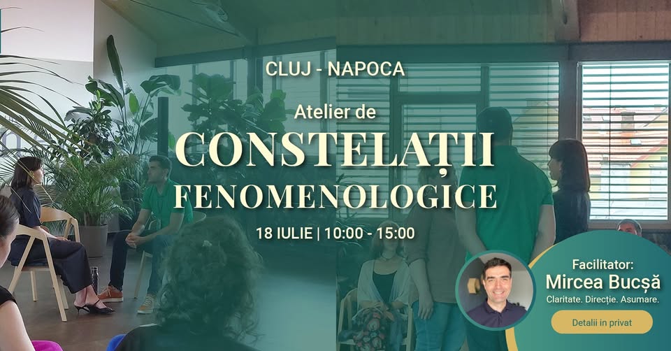 Dincolo de frica de succes – Atelier de Constelații Fenomenologice