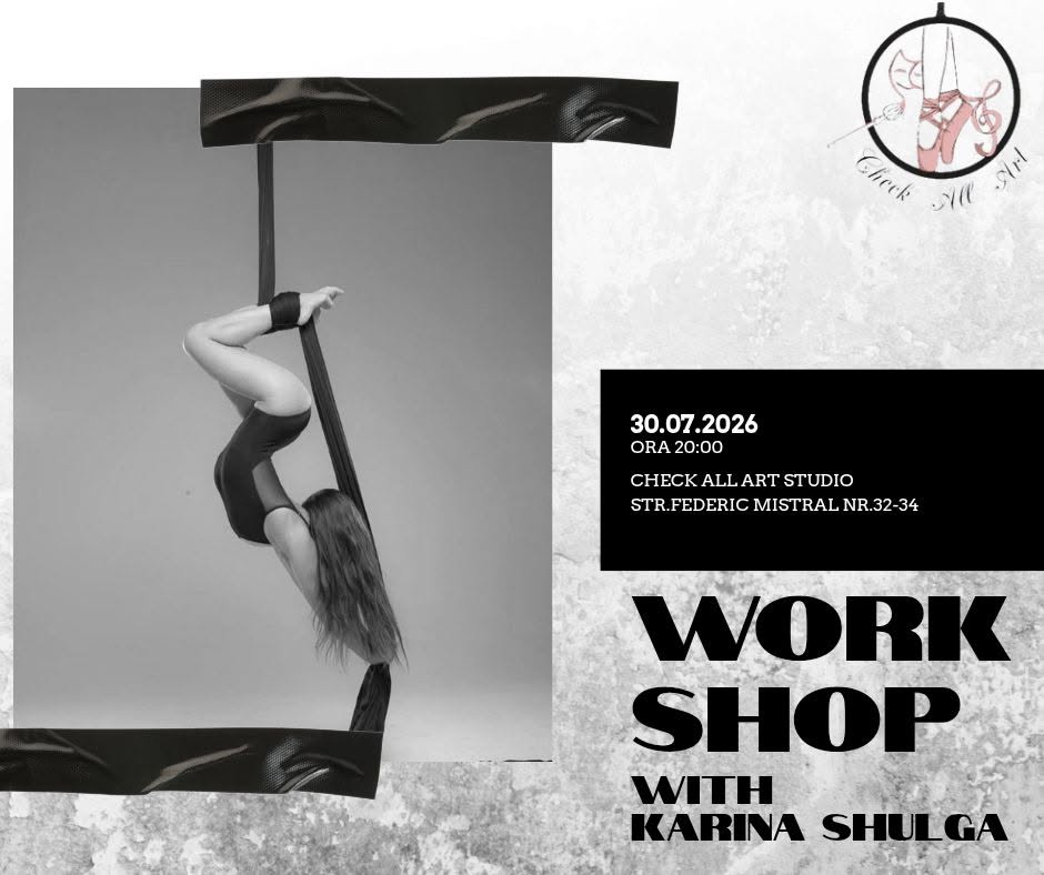 workshop silk and hoop aerial