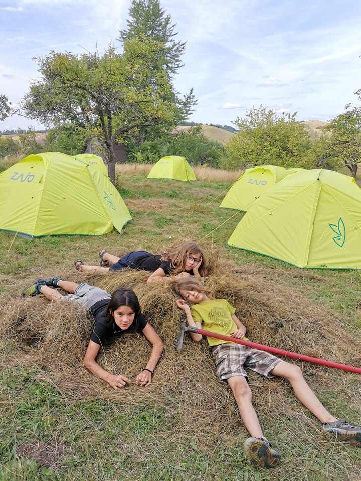 tabără Junior Ranger