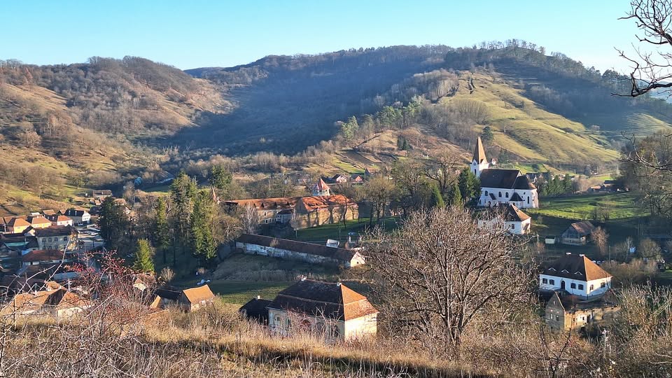 Drumeție la Stâna de pe Coline a Baciului Florin Coșorean – Atelier ”Cum gestionăm relația cu câinii