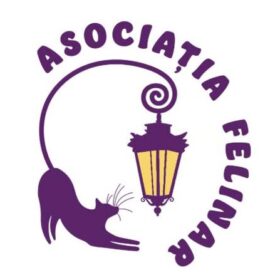 Asociația Felinar