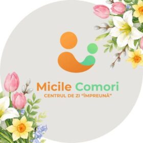 Asociația Micile Comori