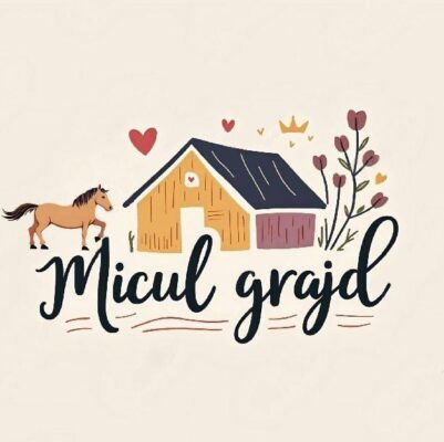 Asociatia Micul Grajd