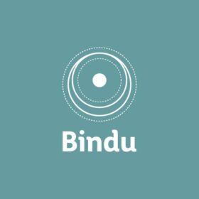 Bindu