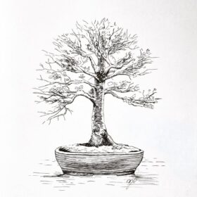 Bucharest Bonsai Show