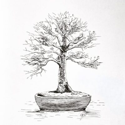 Bucharest Bonsai Show