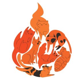 Cats on fire