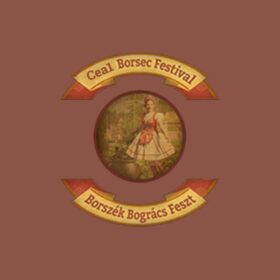 Cea1 Borsec Festival