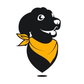 Dog Scouts Romania
