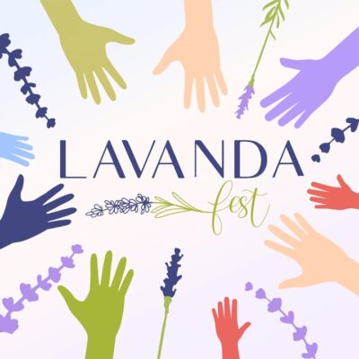 Lavanda Fest Oficial